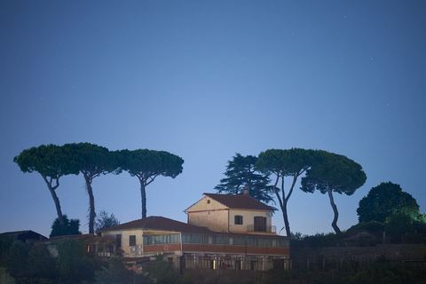 Frascati DOC is a white blend of Malvasia and Trebbiano; the tours taste it where it is made, a short drive from the town